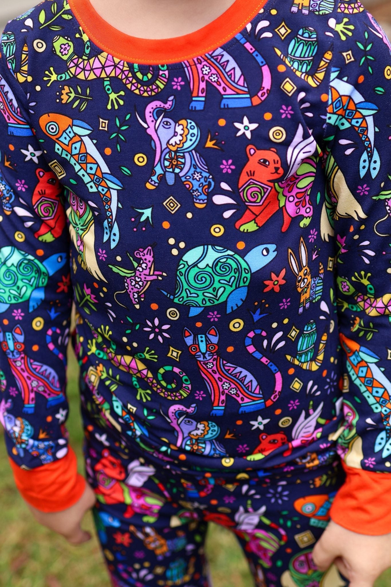 Alebrijes 2 piece pajamas