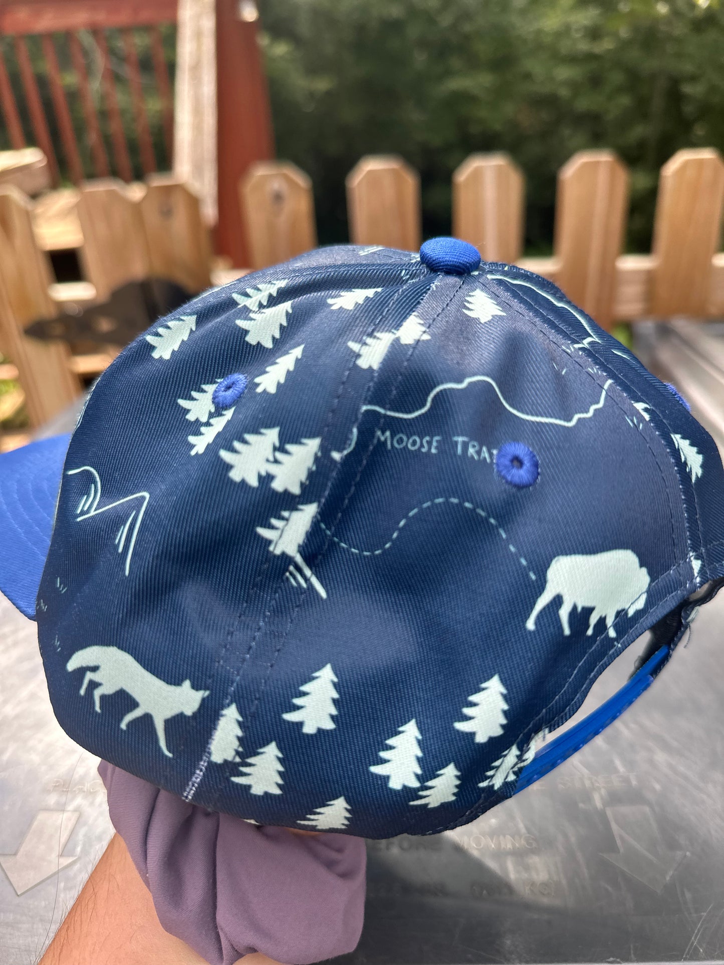 Mountains SnapBack Hat