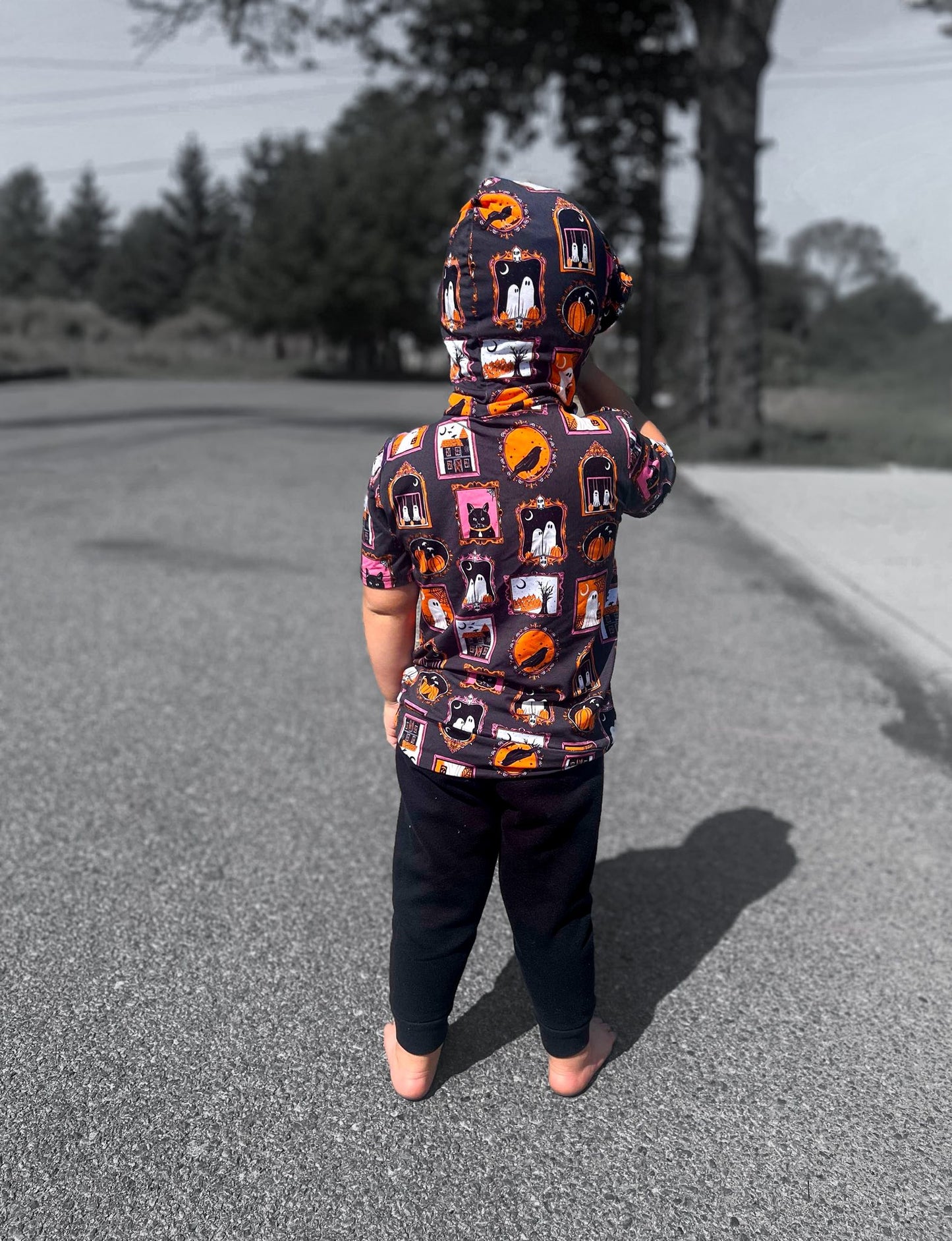 Sabrina Shortsleeve Hoodie