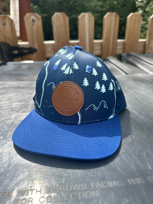 Mountains SnapBack Hat