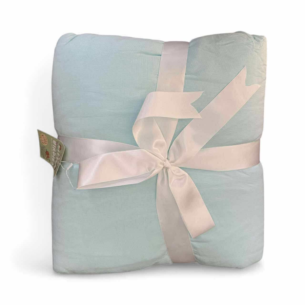 Aquamarine Adult Blanket