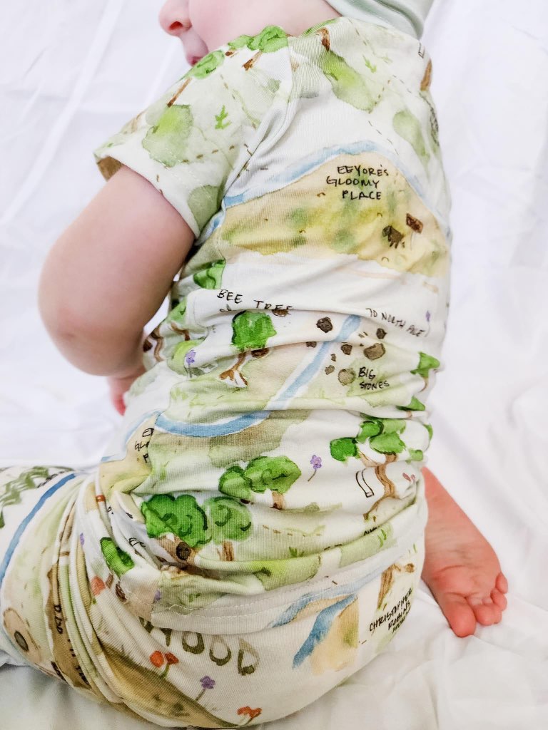100 Acre Wood Toddler Set
