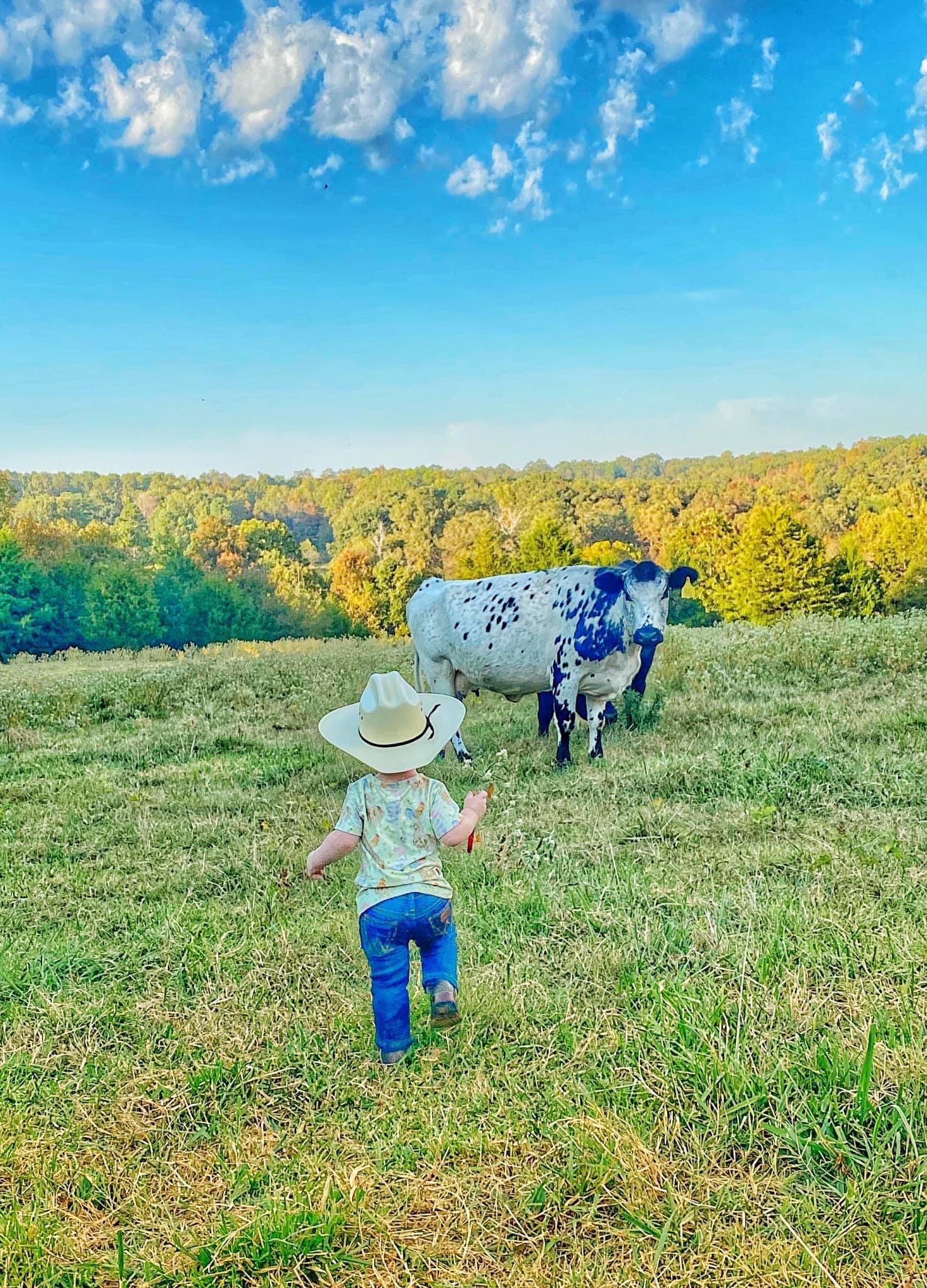 Holy Cow!