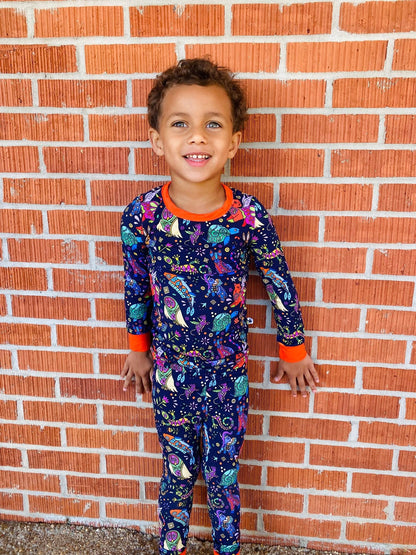 Alebrijes 2 piece pajamas