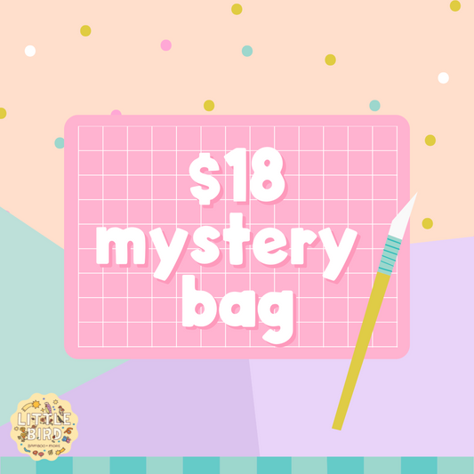 $18 Mystery Bag | Read Description