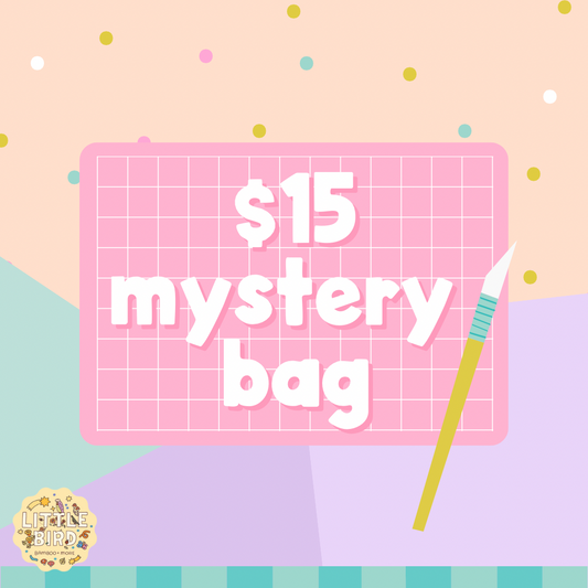 $15 Mystery Bag | Read Description