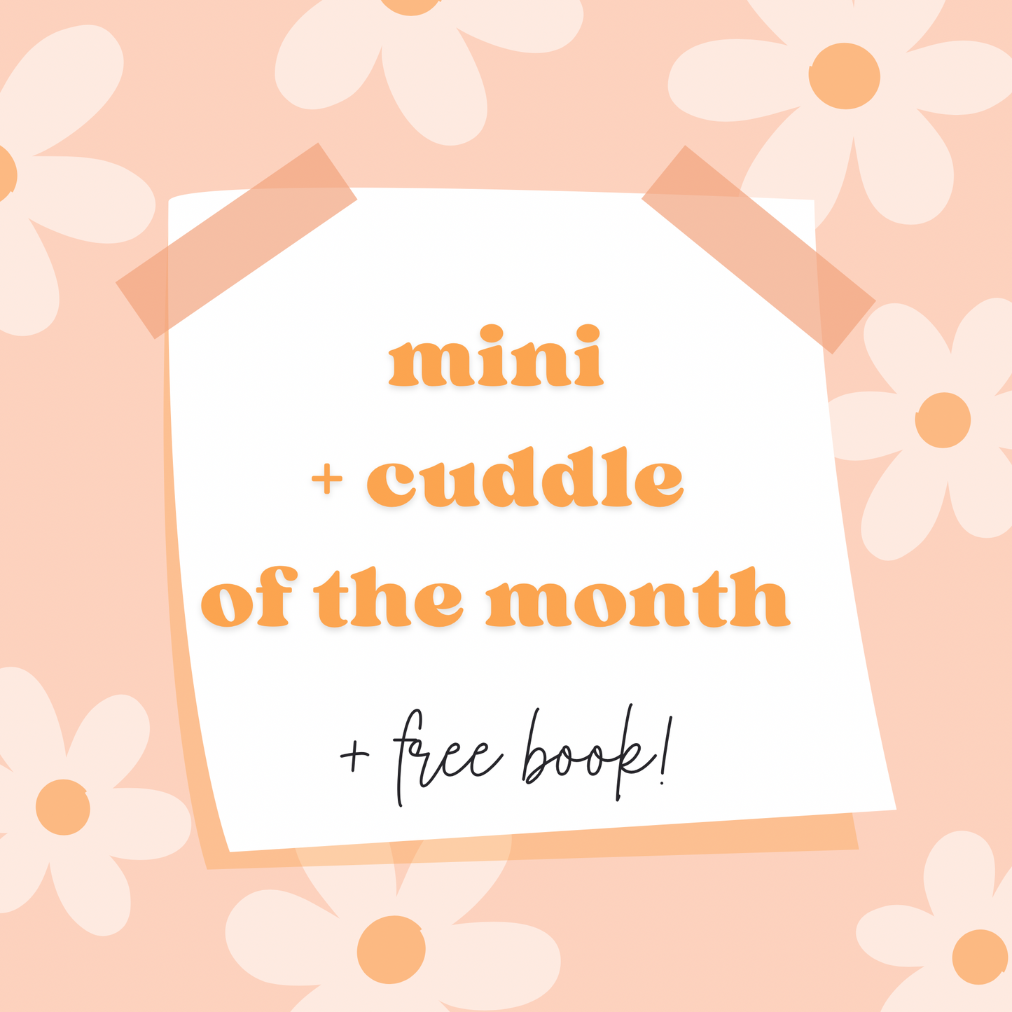 Mystery Mini + Cuddle of the Month | September | Book Club