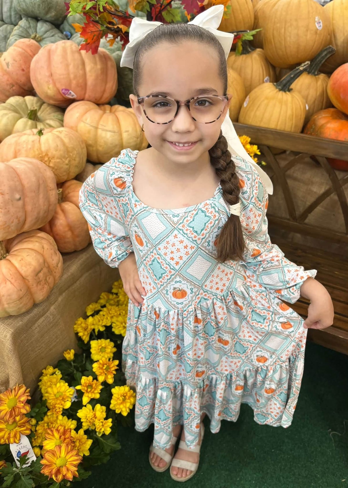 County Fair Puff Sleeve Dress