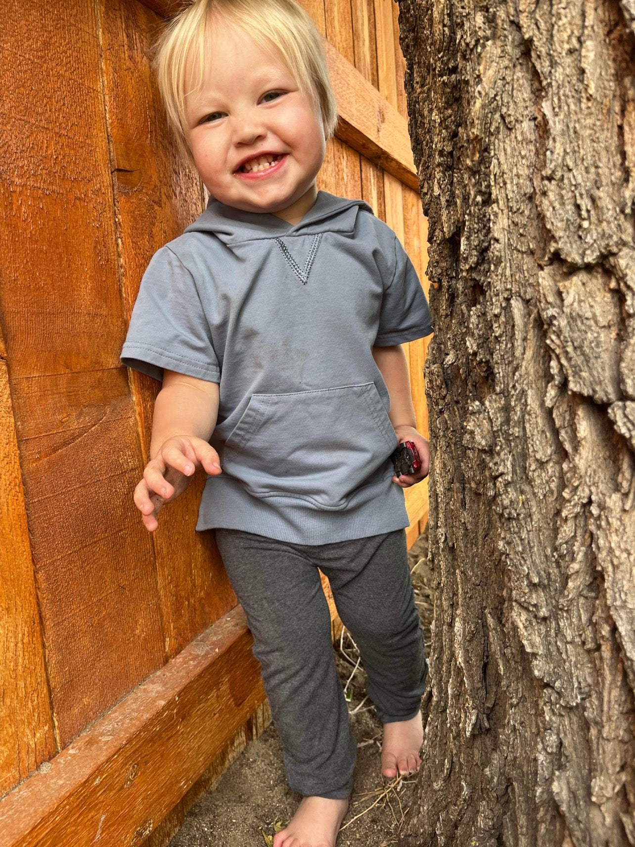 Gray Toddler Joggers