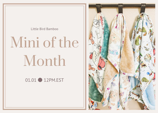 Mini of the Month | January