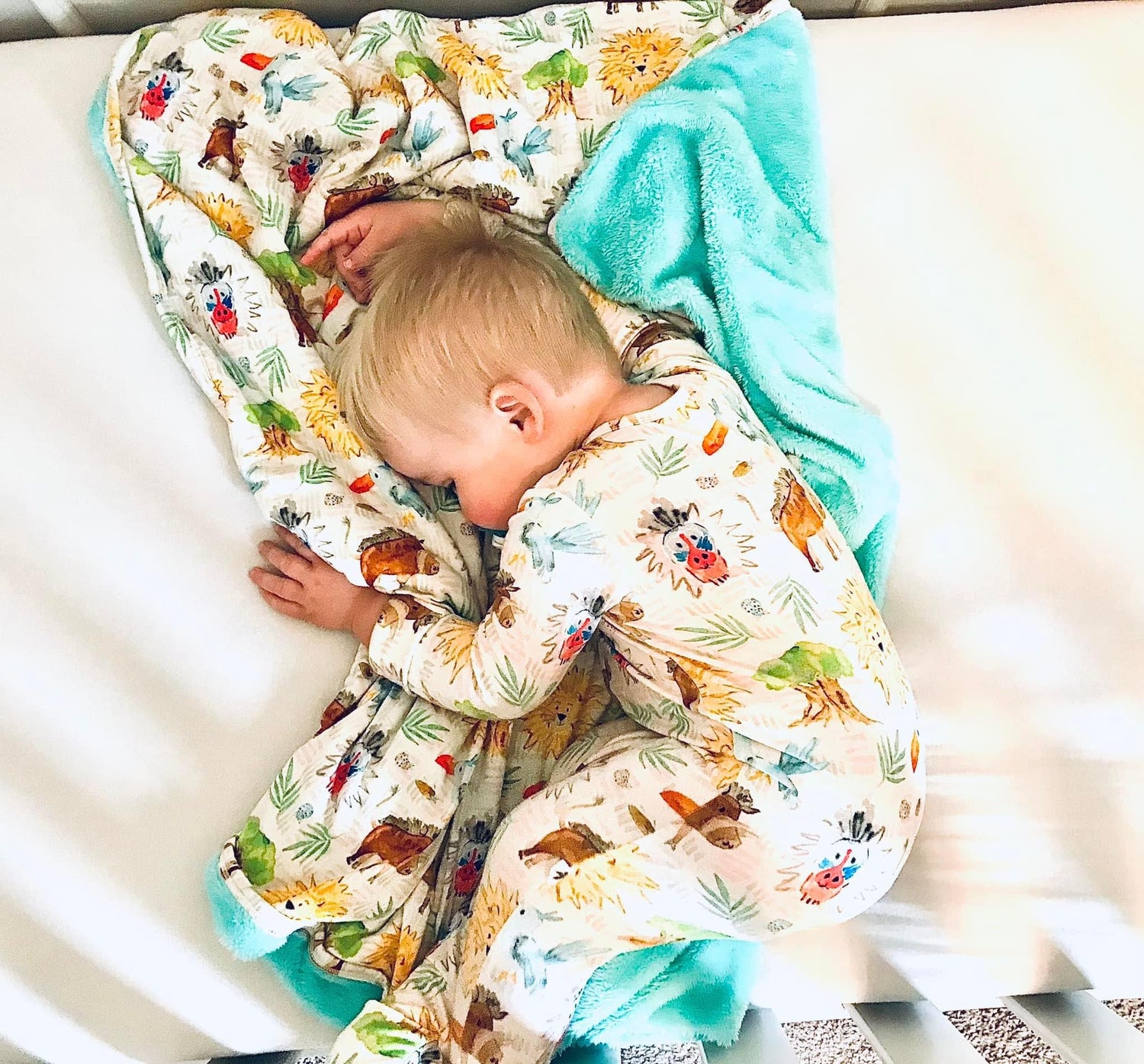 Cuddle Blankets