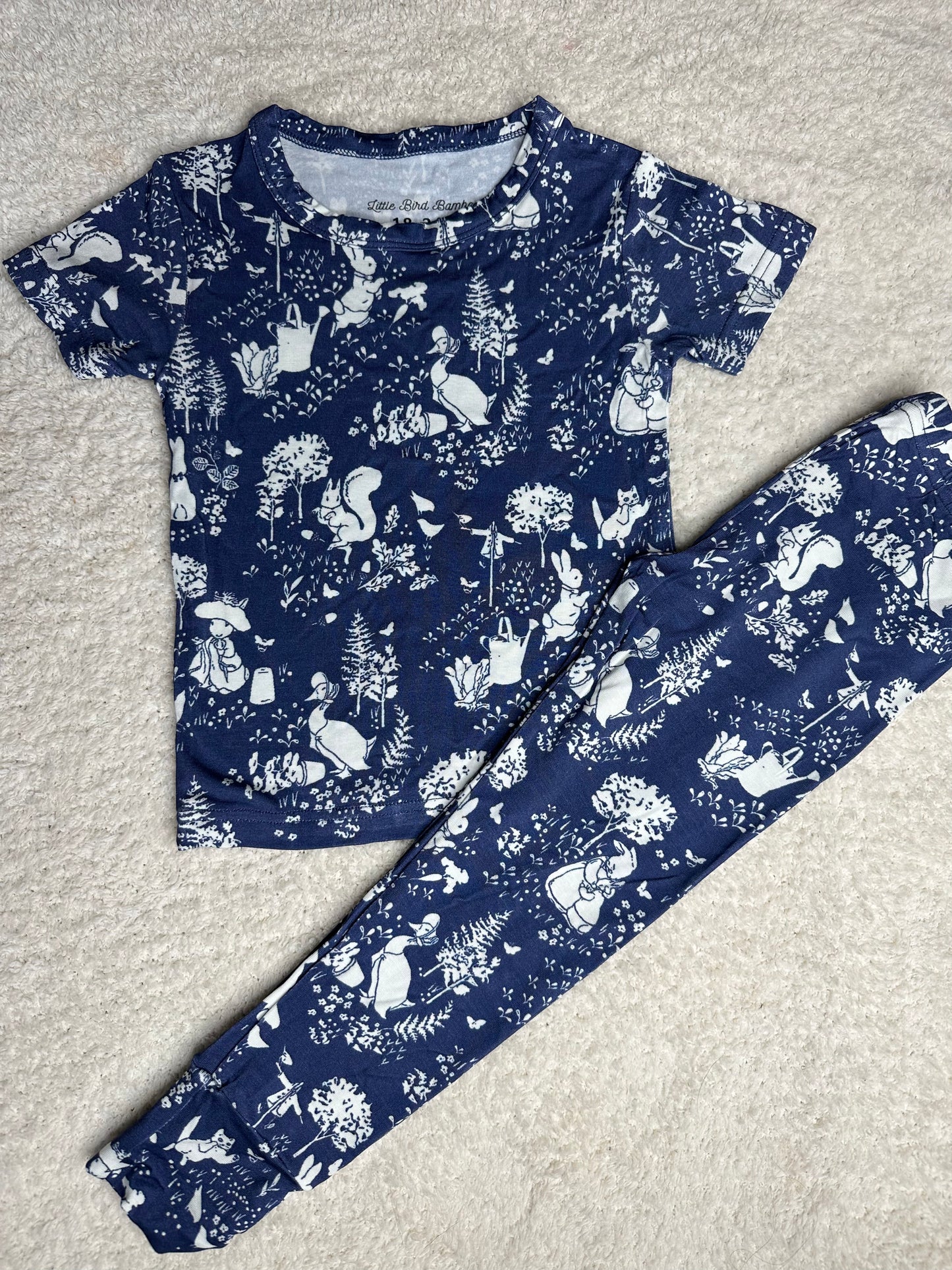 Beatrix 2 Piece Pajamas | Peter Rabbit